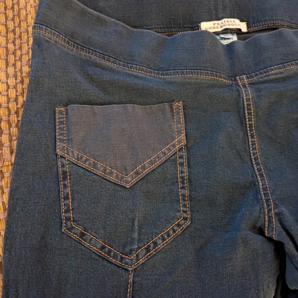 Prairie Underground L Jeans - Picture 4 of 6